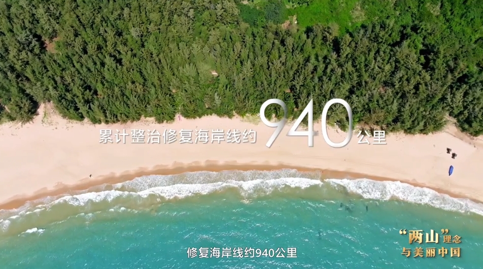 “两山”理念与美丽中国丨修堤护海 焕新海岸肌理