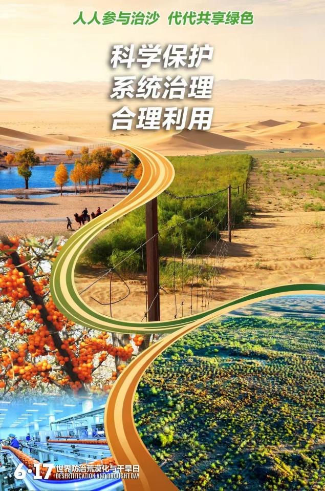 “十四五”我国累计完成沙化土地治理1.52亿亩