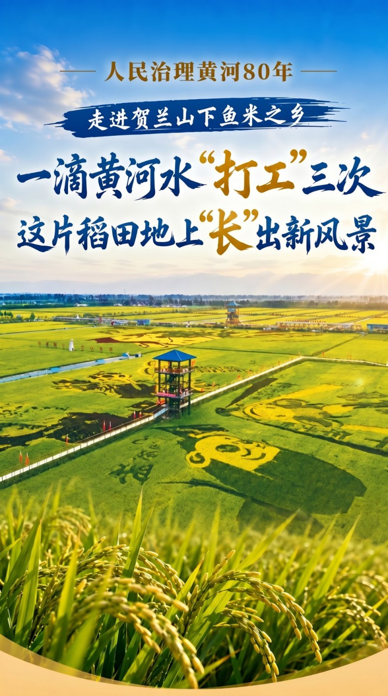 一滴黄河水“打工”三次 稻田地上“长”出新风景