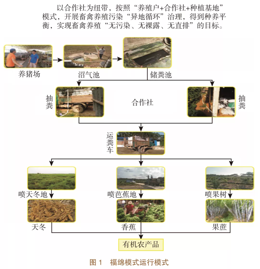 美丽中国先锋榜（10）｜广西玉林市福绵区“截污建池、收运还田” 整区推进粪污资源化利用