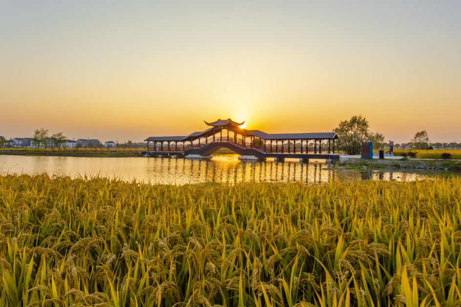 常熟市古里镇坞坵村：垃圾分类再提升，绘制人居环境新画卷