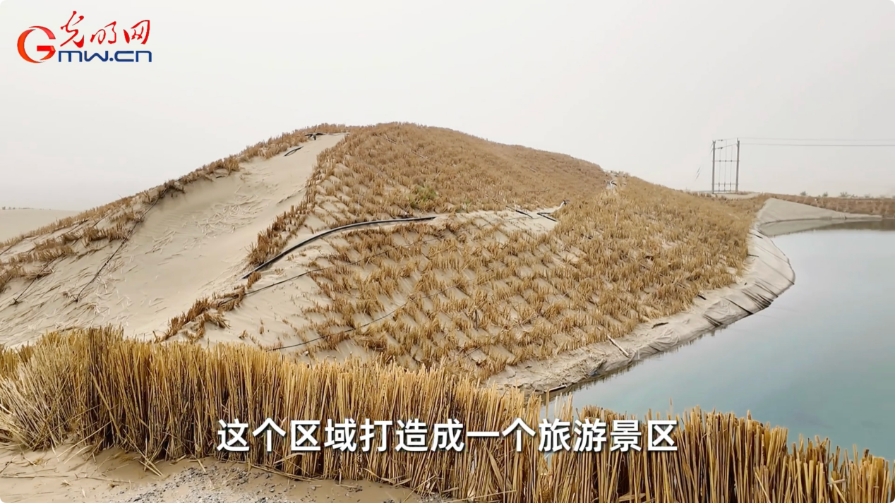 “三北”工程·绿意生金丨“草方格+玫瑰”织密生态经济“双保险”