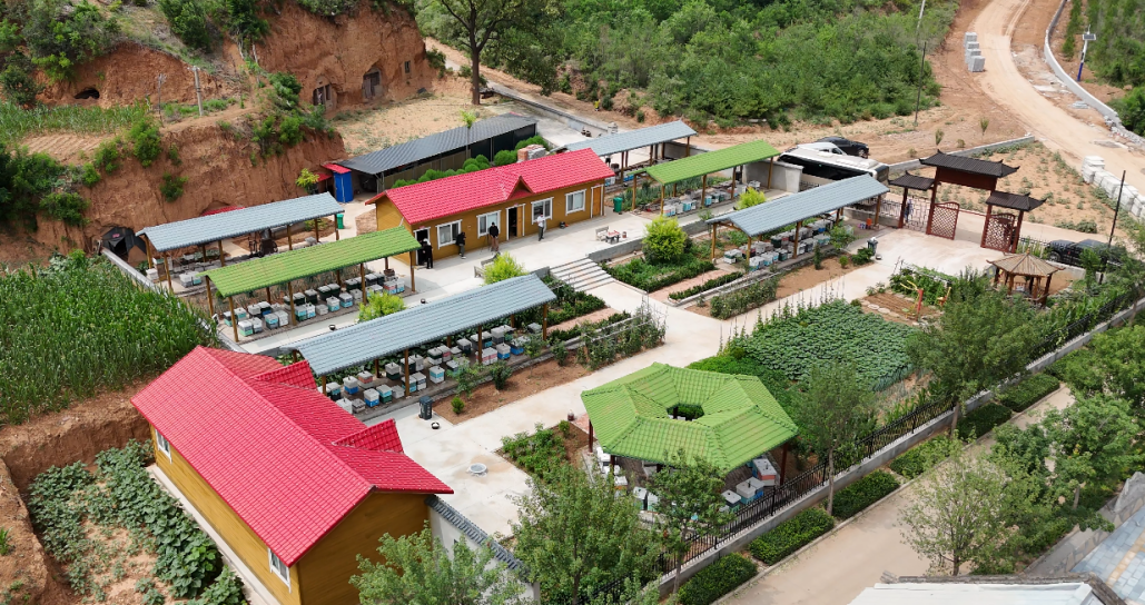 山西沁水：蜜蜂飞舞酿出乡村振兴甜蜜诗篇