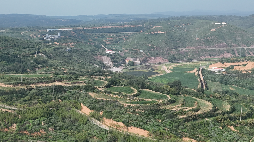 山西沁水：蜜蜂飞舞酿出乡村振兴甜蜜诗篇