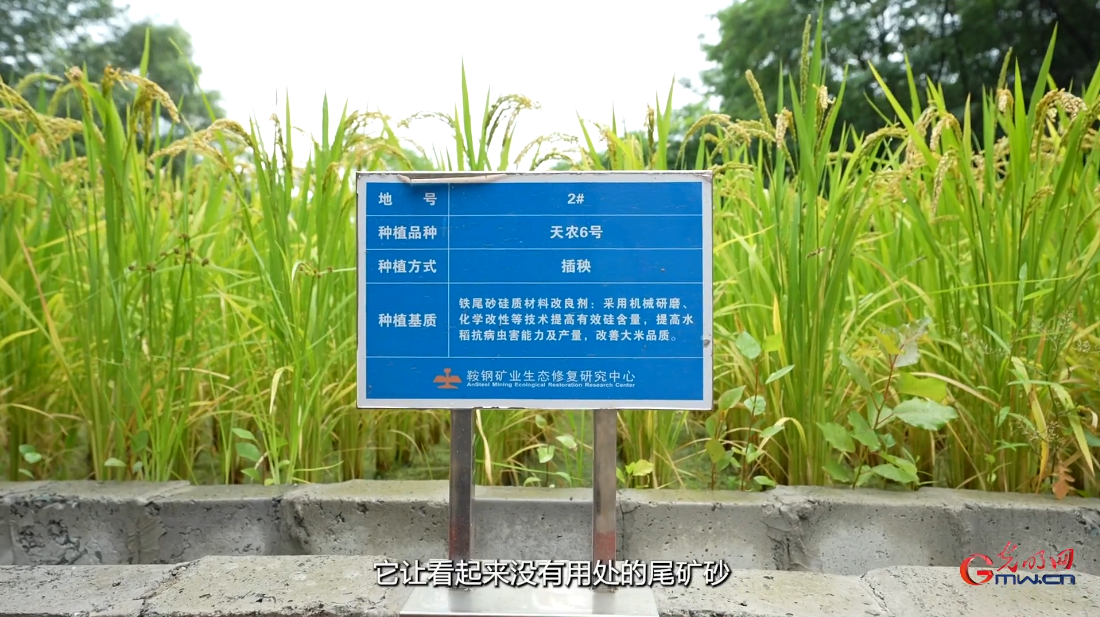 绿水青山“瞰”中国 | 一座矿山的“绿色答卷”