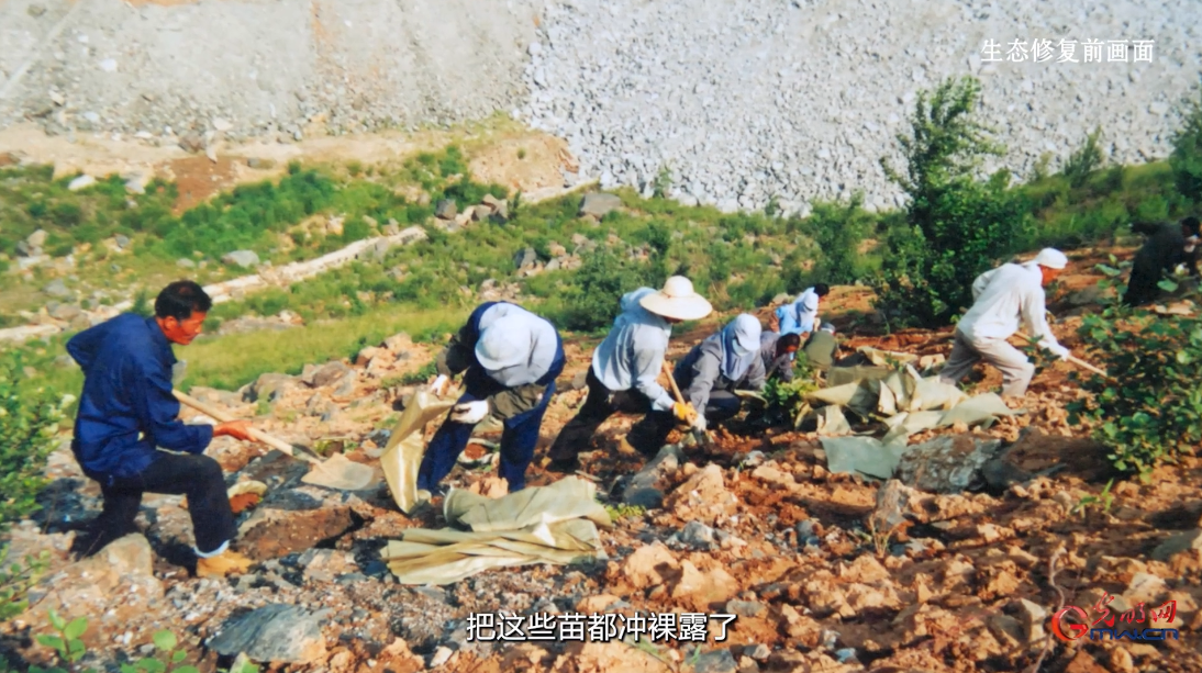 绿水青山“瞰”中国 | 一座矿山的“绿色答卷”