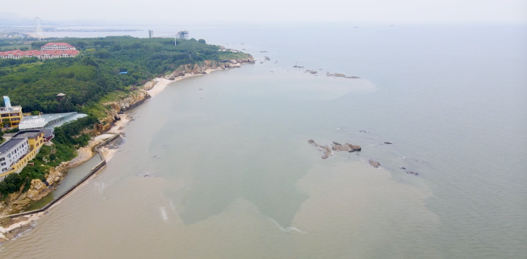 “两山”理念与美丽中国丨潮间新生：让“自然野趣”唤醒海岸生机