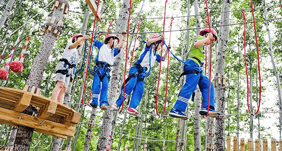 北京市政协委员付玉杰：绿隔建设解锁首都绿色发展新范式