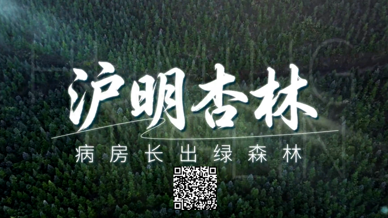 新春走基层｜三明有片“医疗碳汇林”