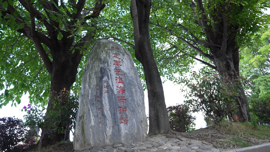 苍山洱海间，一张走了二十年的“生态答卷”