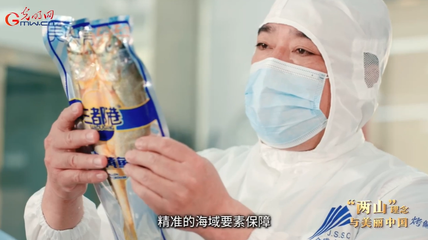 “两山”理念与美丽中国丨一条鱼一片海富一方民