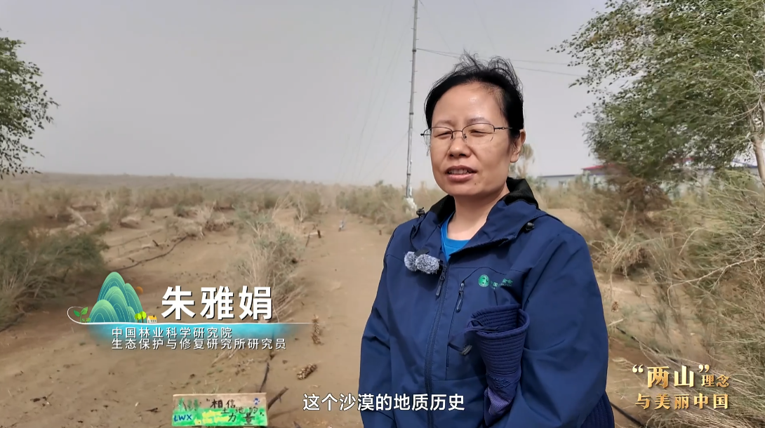 “两山”理念与美丽中国｜从扩绿到固绿：环塔治沙 久久为功