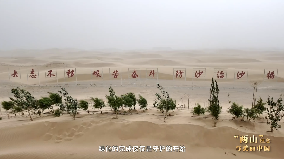 “两山”理念与美丽中国｜从扩绿到固绿：环塔治沙 久久为功