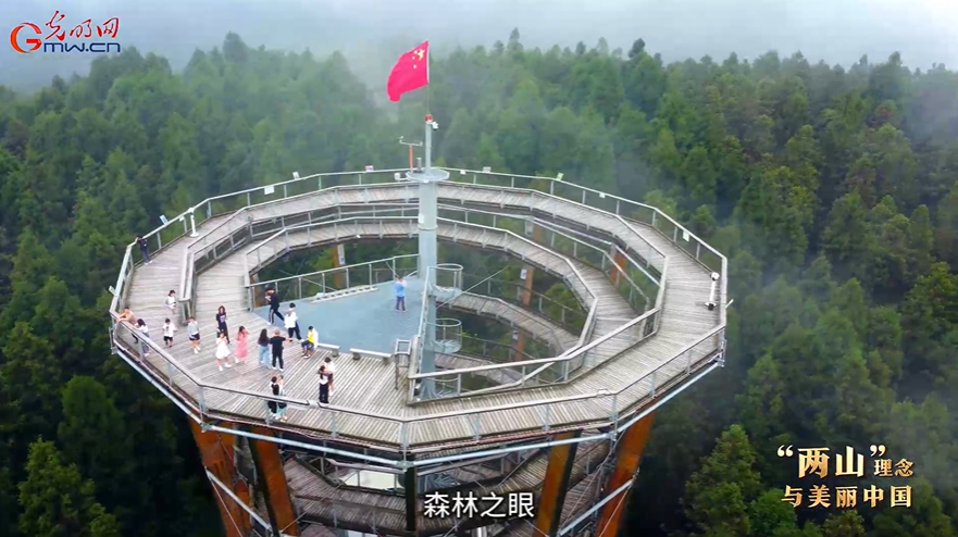 “两山”理念与美丽中国｜以自然教育守护世界遗产之美