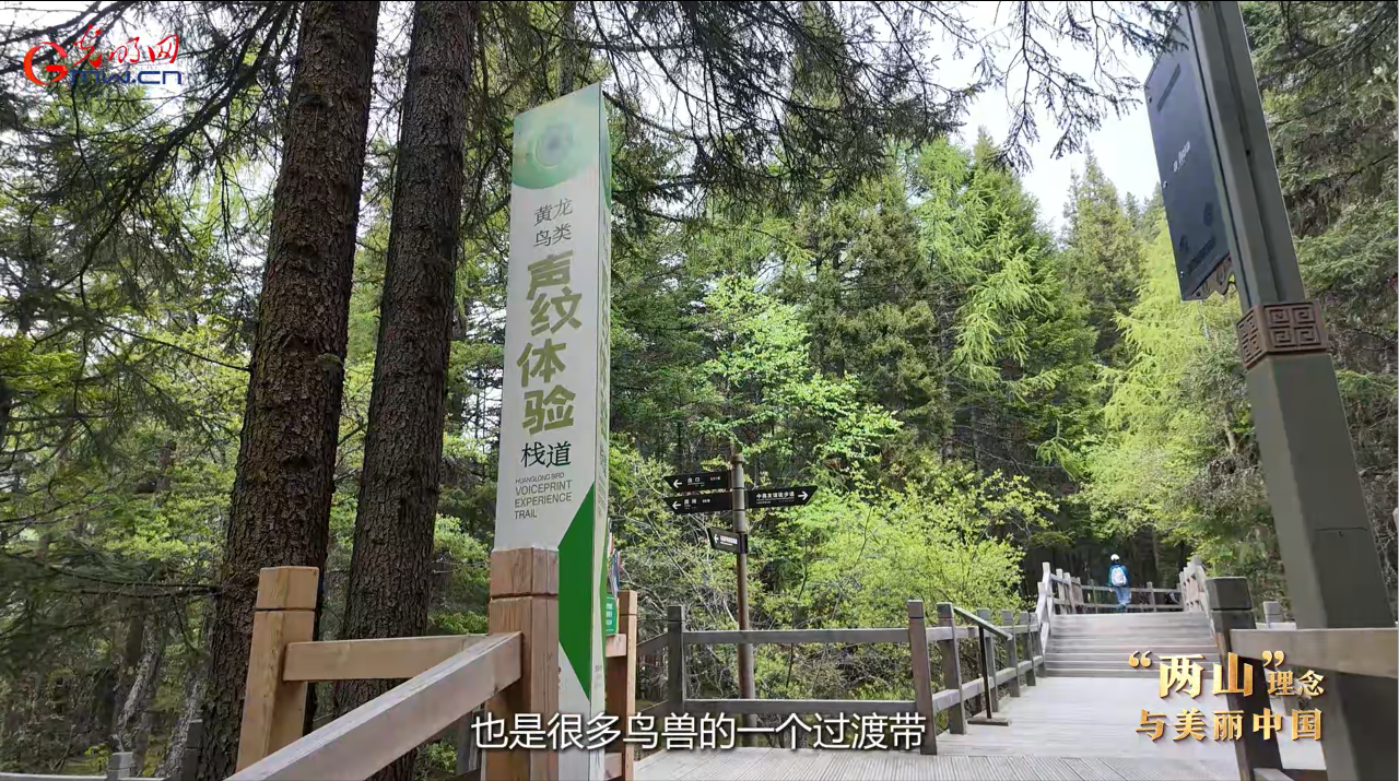 “两山”理念与美丽中国｜守护千年钙华秘境，为世界遗产保护贡献“黄龙方案”