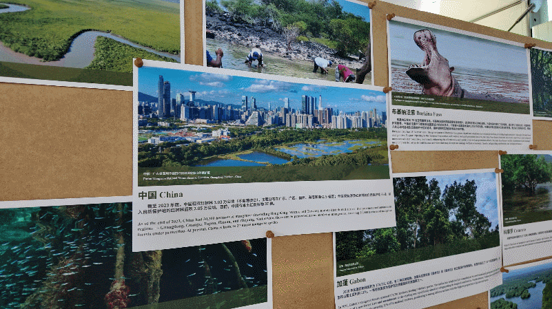美丽中国·青绿手记丨让自然不再是城市的“孤岛风景”