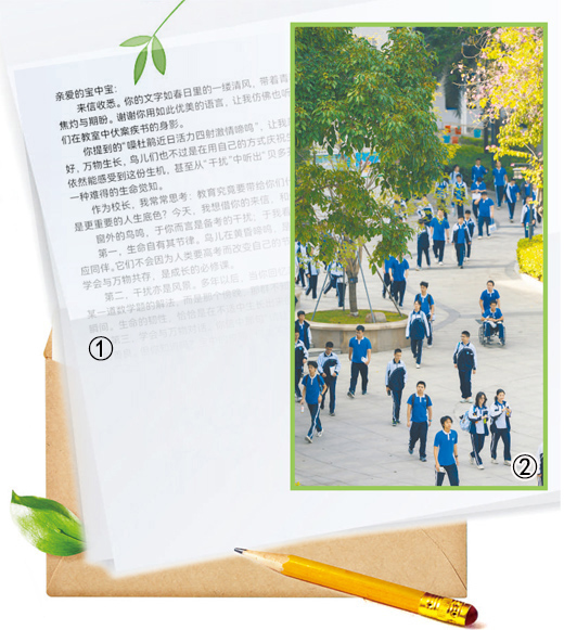 美丽中国·青绿手记丨让自然不再是城市的“孤岛风景”
