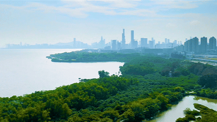 美丽中国·青绿手记丨让自然不再是城市的“孤岛风景”