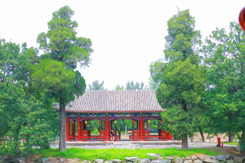 一绿地区历史名园如何焕发新活力？